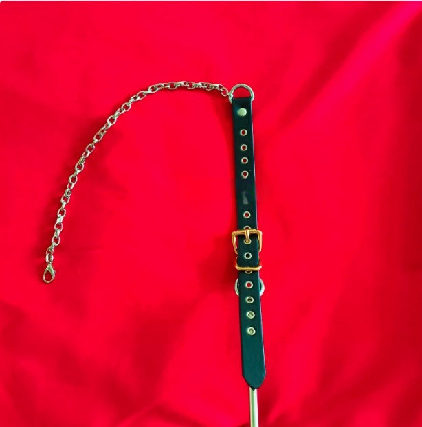 Back Door Punishment Hook
