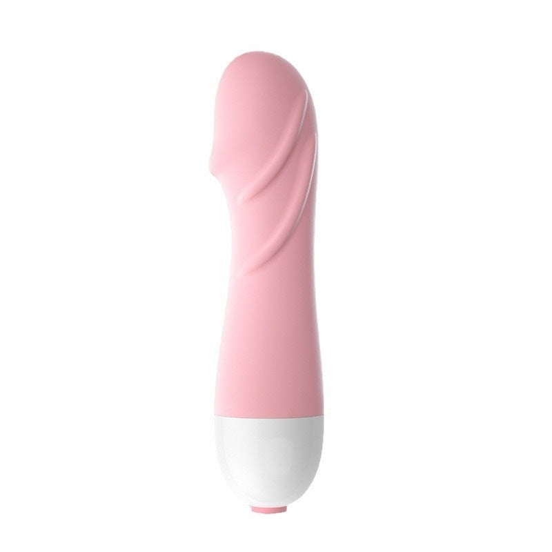 Vibro Massage Climax Vibrator