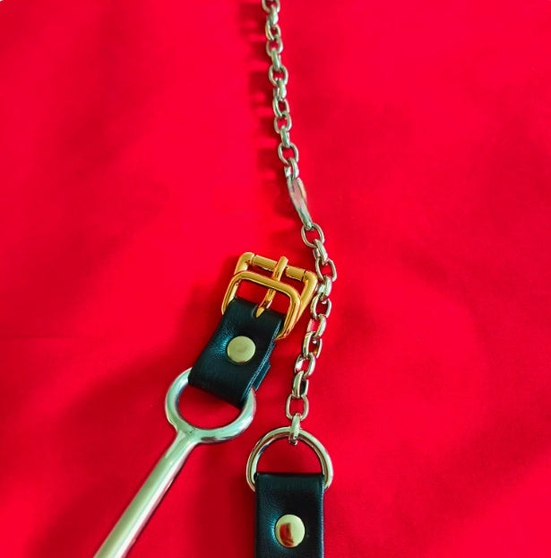 Back Door Punishment Hook