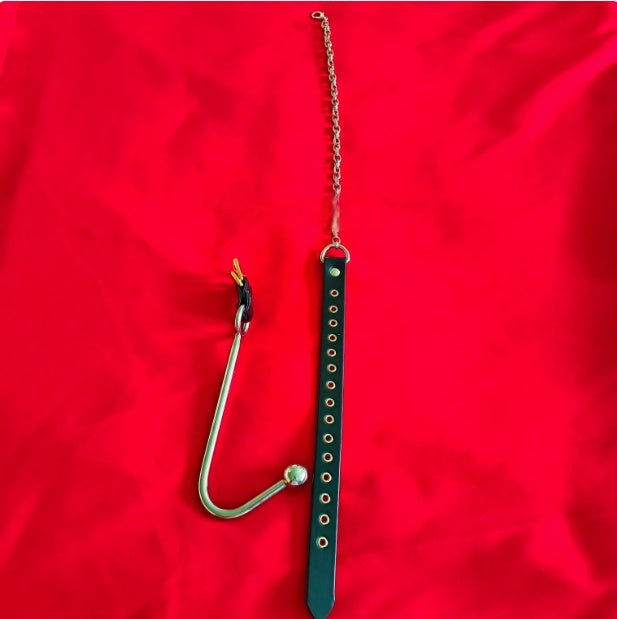 Back Door Punishment Hook
