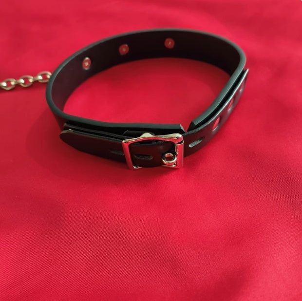 Leather & Chain Leash