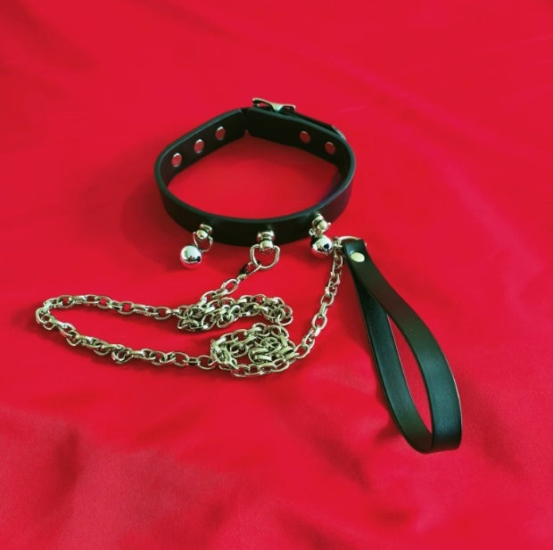 Leather & Chain Leash