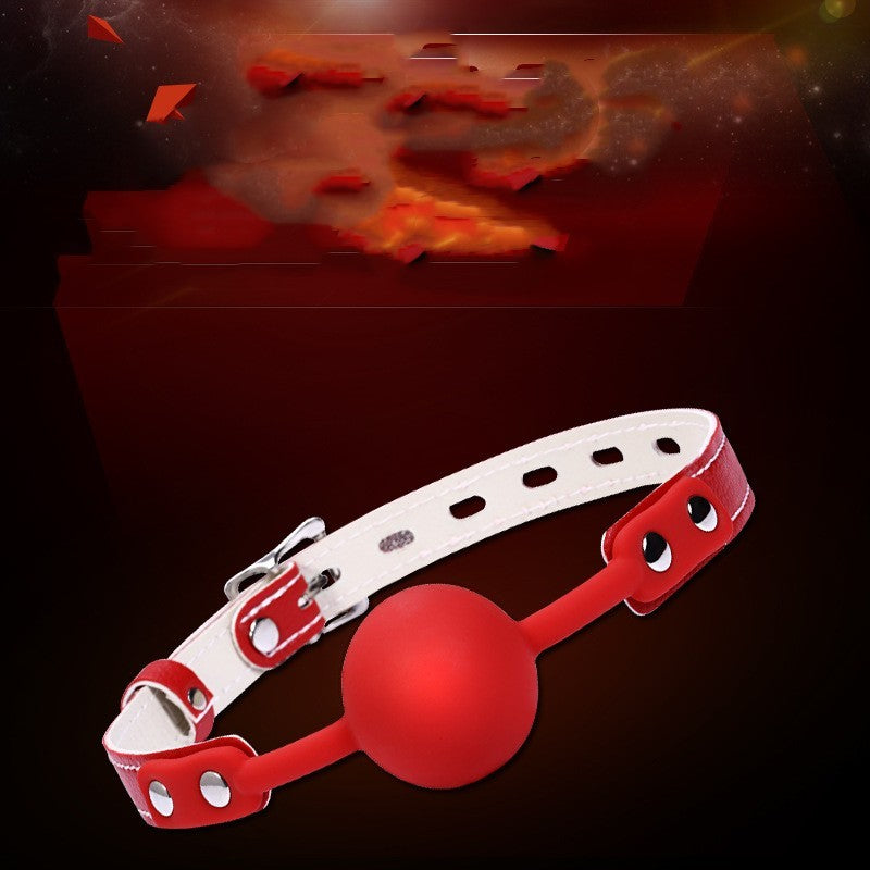 Jouet à boule en silicone solide pour la bouche