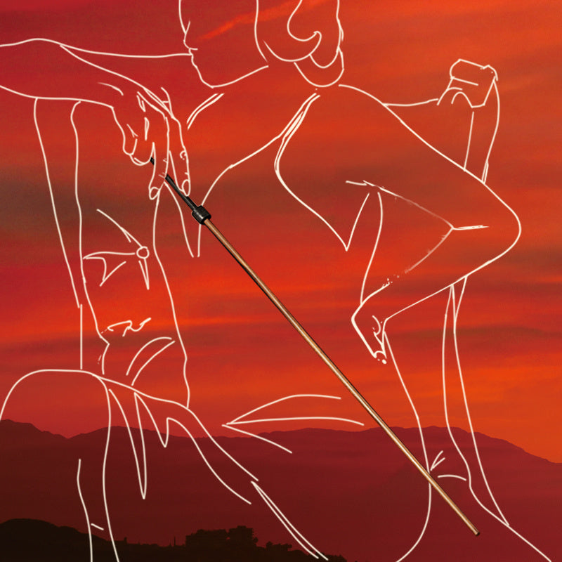 High-end Black wooden Whip