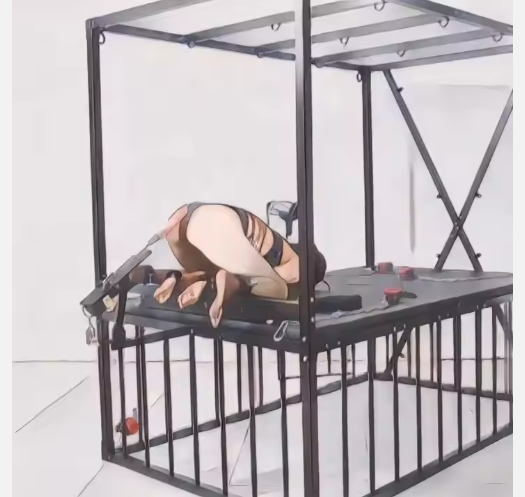 Chambre à coucher BDSM Cage d'esclave intégrée Donjon de retenue