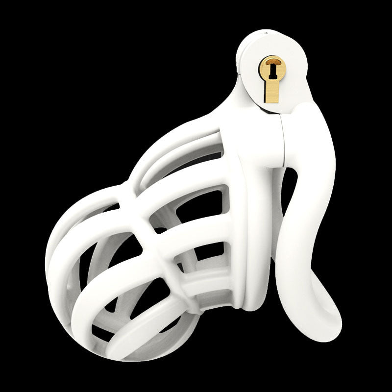 Cobra Black Chastity Lock Da Dick en place