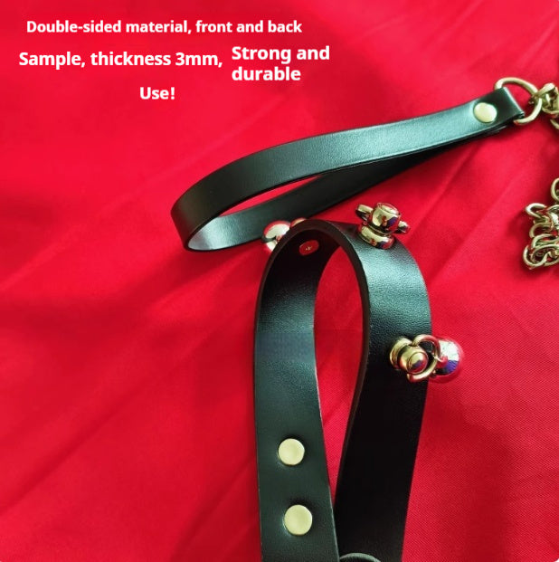 Leather & Chain Leash
