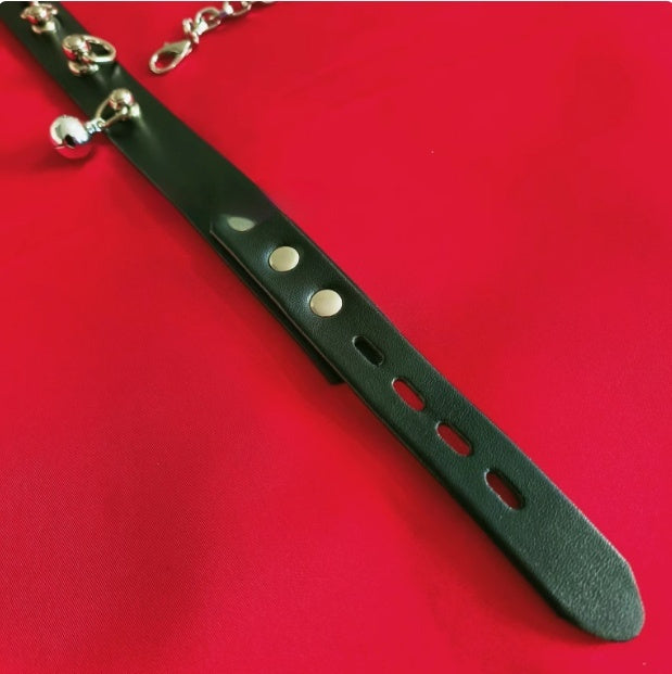 Leather & Chain Leash