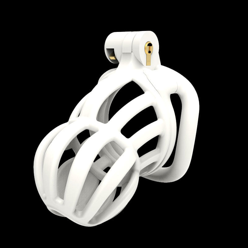 Cobra Black Chastity Lock Da Dick en place