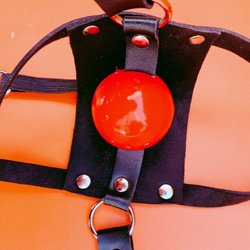 Punishment Set Bonding, Gagging, Straps and nipple plug