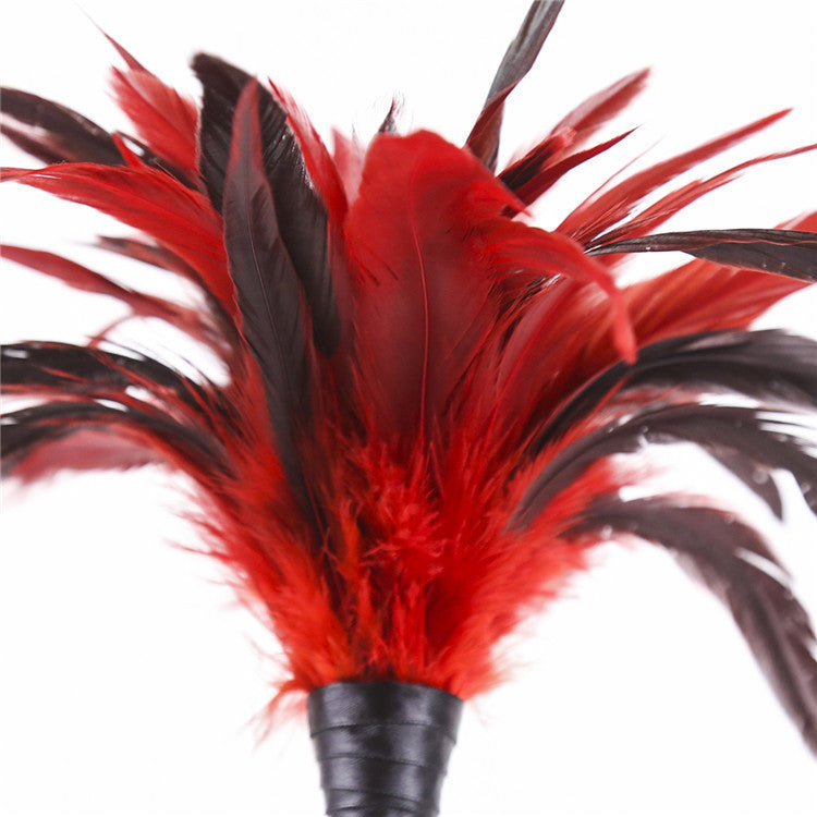 Plumes chatouilleuses