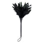 Plumes chatouilleuses