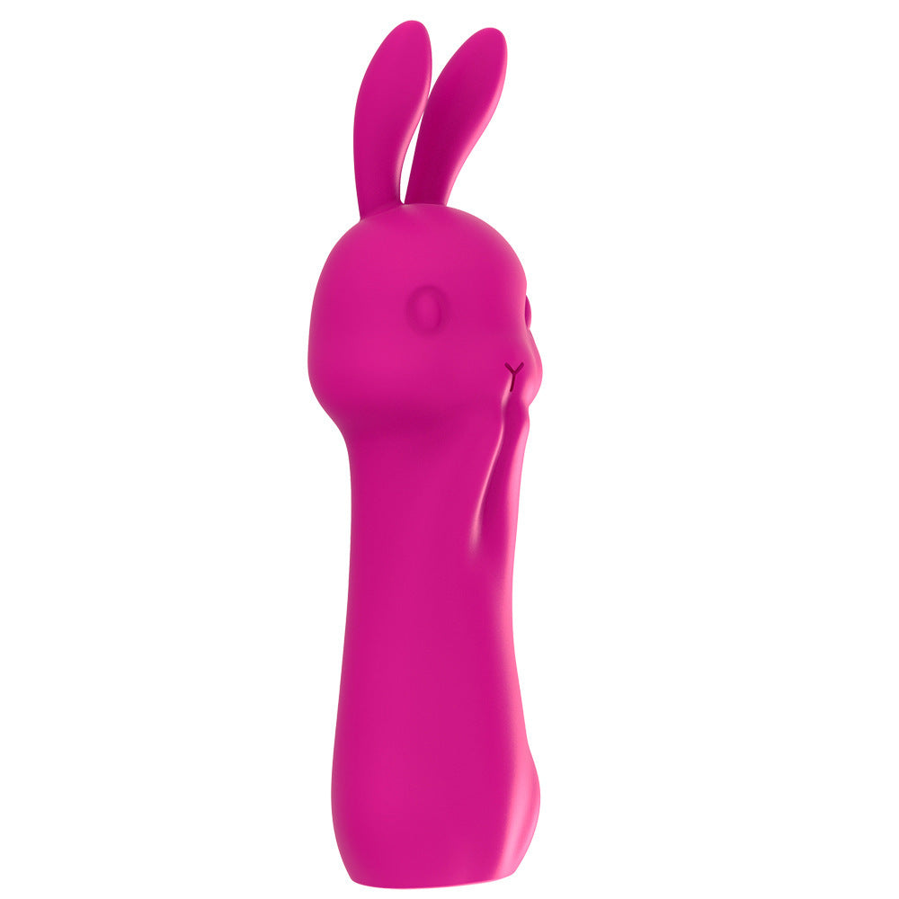 Rabbit Vibrator Massage Masturbation