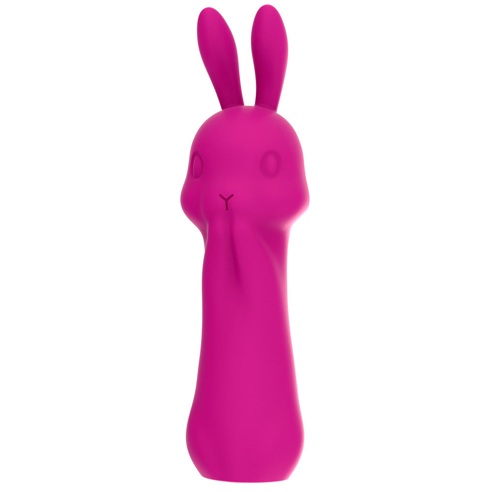 Rabbit Vibrator Massage Masturbation