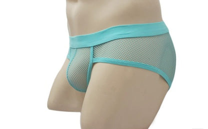 Mesh Briefs