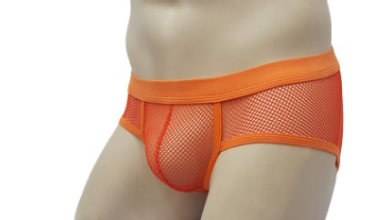 Mesh Briefs