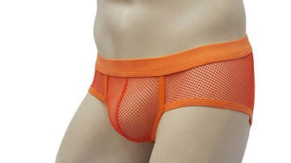 Mesh Briefs