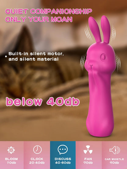 Rabbit Vibrator Massage Masturbation