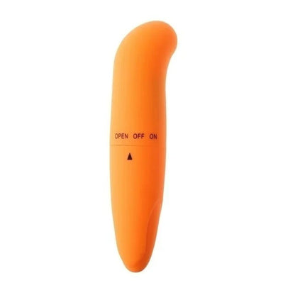 Little Dolphin Vibration Mini Massager