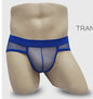 Mesh Briefs