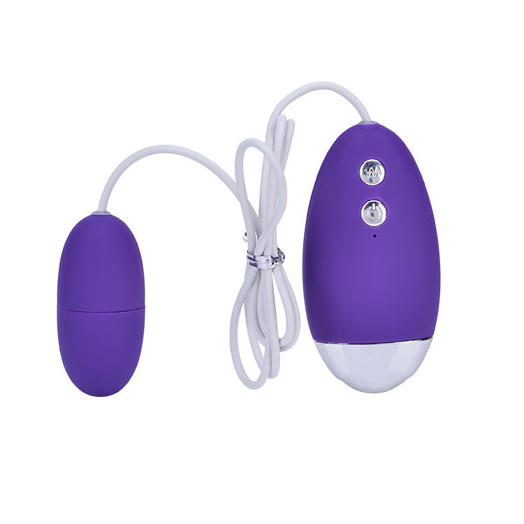 Wired Multi-frequency Strong Shock Massage