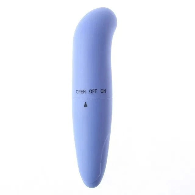 Little Dolphin Vibration Mini Massager