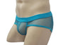 Mesh Briefs