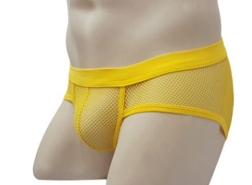 Mesh Briefs