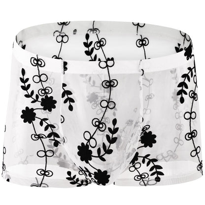 Men's Sexy Boxer Transparent