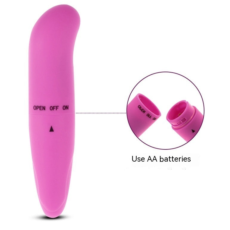 Little Dolphin Vibration Mini Massager