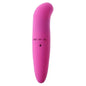 Little Dolphin Vibration Mini Massager